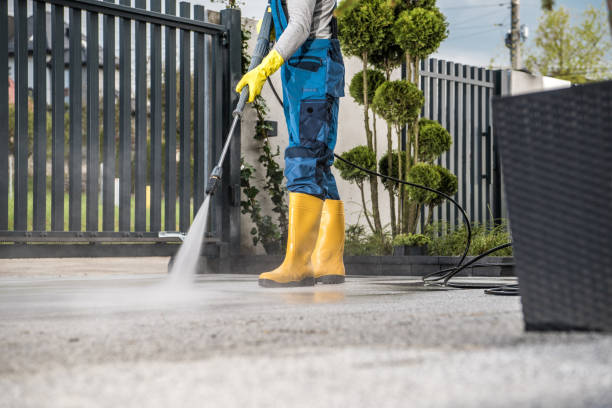 Animal Enclosure Cleaning in Dequincy, LA